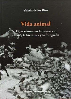 VIDA ANIMAL